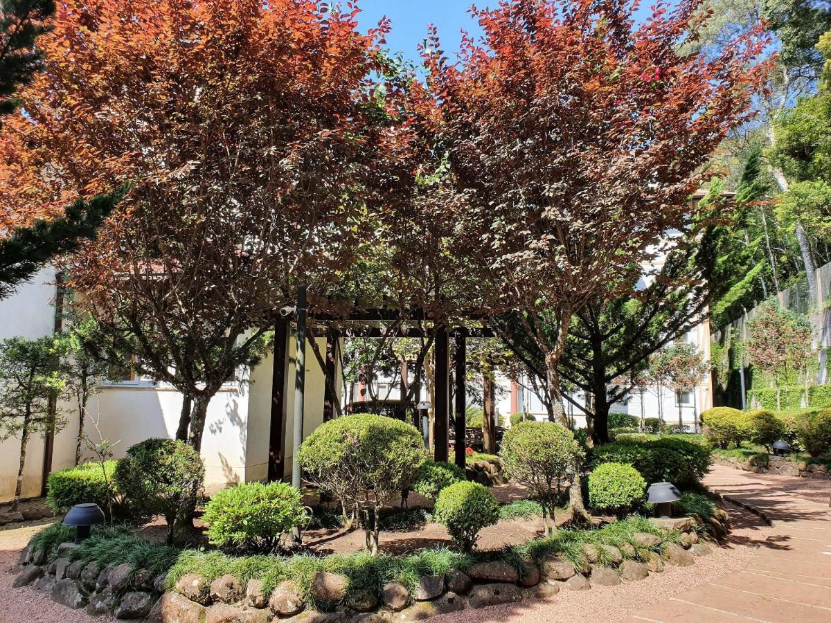 Apto No Centro De Gramado Com Piscina Termica Zewnętrze zdjęcie